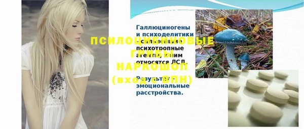 молекула духа Нягань
