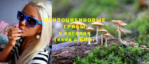 молекула духа Нягань