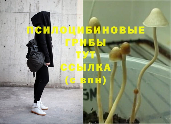 ECSTASY Няндома
