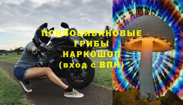 ECSTASY Няндома
