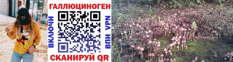 Псилоцибиновые грибы Psilocybe  Шарыпово 