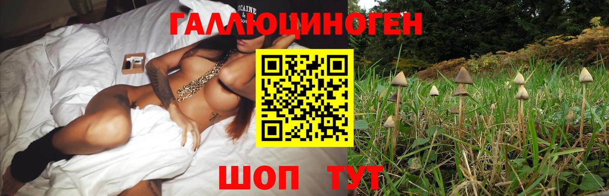 Галлюциногенные грибы мухоморы Шарыпово