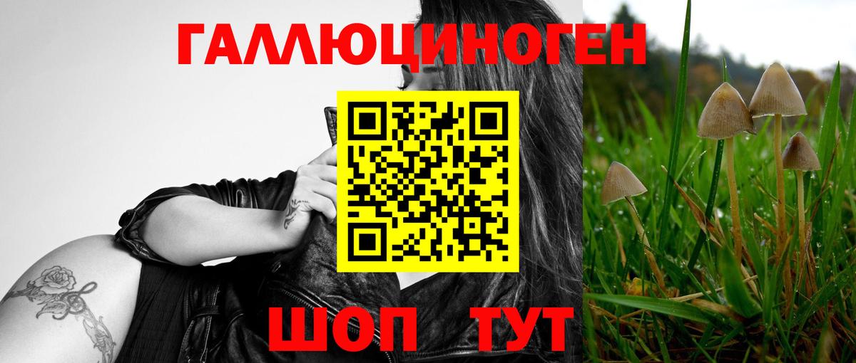купить наркотики сайты  Псилоцибиновые грибы мухоморы  Вход с VPN  Шарыпово  Псилоцибиновые грибы Cubensis 